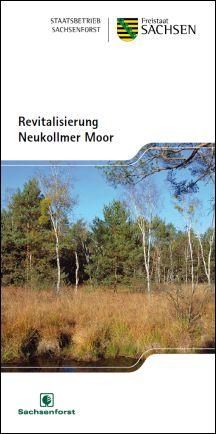 Revitalisierung Neukollmer Moor