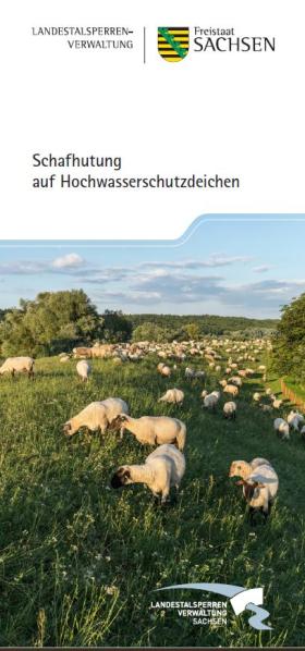 Titel Schafhutung auf Hochwasserschutzdeichen