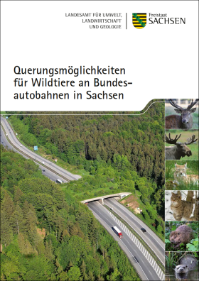 Querungsmöglichkeiten für Wildtiere an Bundesautobahnen in Sachsen