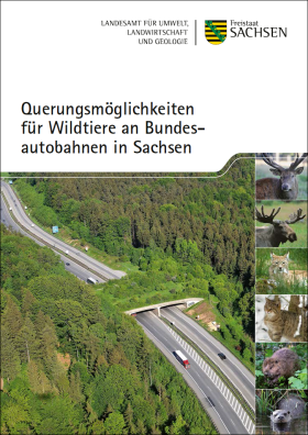 Vorschaubild zum Artikel Querungsmöglichkeiten für Wildtiere an Bundesautobahnen in Sachsen