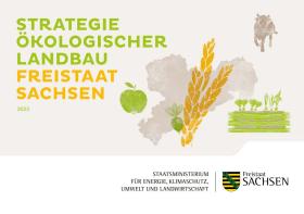 Strategie Ökologischer Landbau Freistaat Sachsen 2023