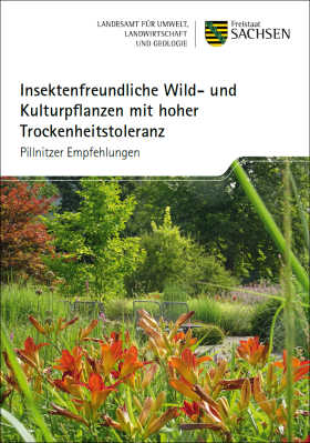 Insektenfreundliche Wild- und Kulturpflanzen mit hoher Trockenheitstoleranz