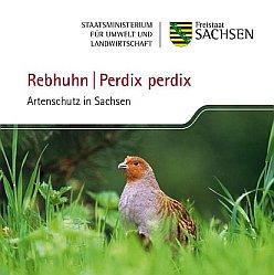 Rebhuhn - Heft