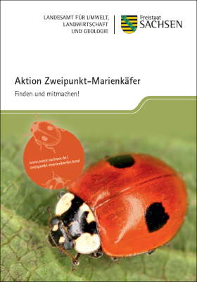 Aktion Zweipunkt-Marienkäfer