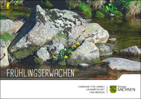 Frühlingserwachen