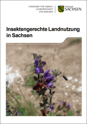 Insektengerechte Landnutzung in Sachsen