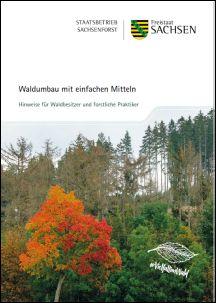 Waldumbau mit einfachen Mitteln