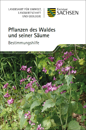 Pflanzen des Waldes und seiner Säume