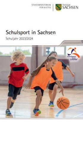 Vorschaubild zum Artikel Schulsport in Sachsen