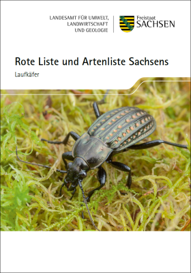 Laufkäfer