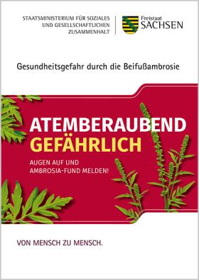 Faltblatt Beifußambrosie Cover