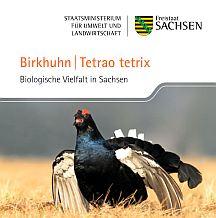 Vorschaubild zum Artikel Birkhuhn - Tetrao tetrix - Heft und Postkarte
