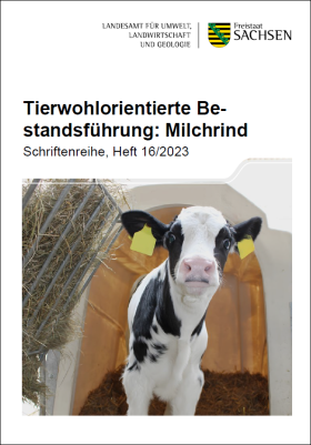 Tierwohlorientierte Bestandsführung: Milchrind