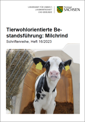 Vorschaubild zum Artikel Tierwohlorientierte Bestandsführung: Milchrind