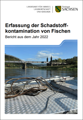 Vorschaubild zum Artikel Erfassung der Schadstoffkontamination von Fischen 2023