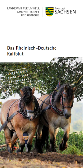 Vorschaubild zum Artikel Das Rheinisch-Deutsche Kaltblut