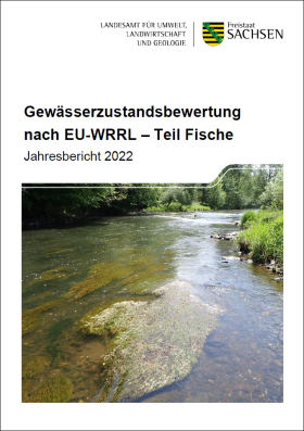 Vorschaubild zum Artikel Gewässerzustandsbewertung nach EU-WRRL – Teil Fische