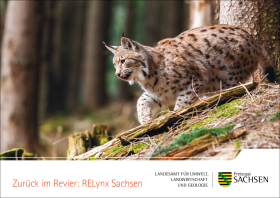 Postkarte Zurück im Revier: RELynx 1 von 5