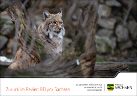 Postkarte Zurück im Revier: RELynx 3 von 5