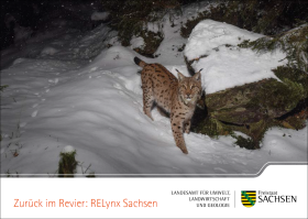 Postkarte Zurück im Revier: RELynx 4 von 5