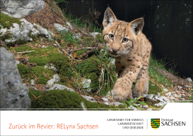 Postkarte Zurück im Revier: RELynx 1 von 5