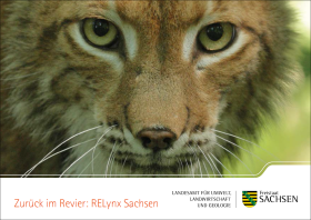 Vorschaubild zum Artikel Postkartenserie Zurück im Revier: RELynx