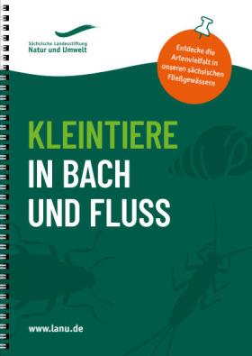 Vorschaubild zum Artikel Kleintiere in Bach und Fluss