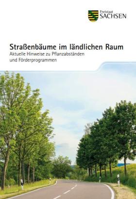 Vorschaubild zum Artikel Straßenbäume im ländlichen Raum