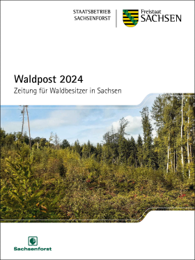 Vorschaubild zum Artikel Waldpost 2024