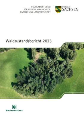 Vorschaubild zum Artikel Waldzustandsbericht 2023