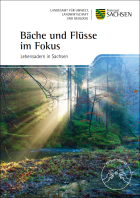 Bäche und Flüsse im Fokus