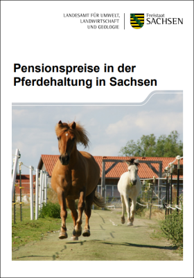 Pensionspreise in der Pferdehaltung in Sachsen