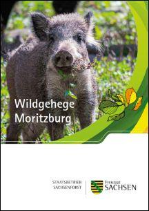 Vorschaubild zum Artikel Wusstest du schon ... Rundgang durch das Wildgehege Moritzburg