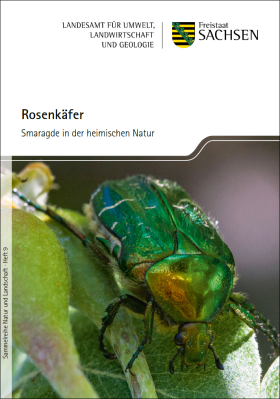 Vorschaubild zum Artikel Rosenkäfer - Smaragde in der heimischen Natur