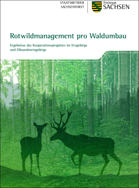 Vorschaubild zum Artikel Rotwildmanagement pro Waldumbau