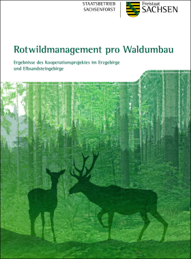 Rotwildmanagement pro Waldumbau