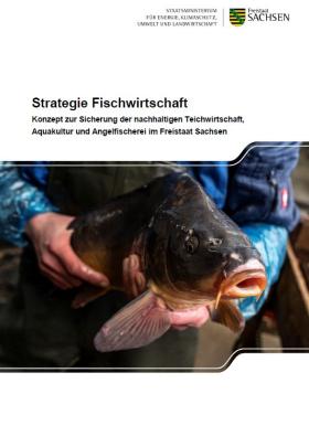 Vorschaubild zum Artikel Strategie Fischwirtschaft