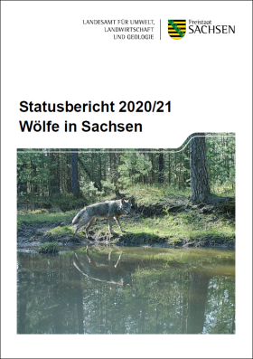 Vorschaubild zum Artikel Wölfe in Sachsen – Statusbericht für das Jahr 2020/21