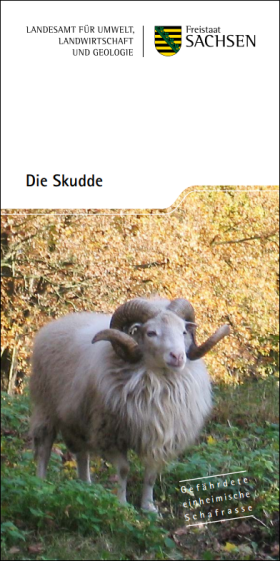 Vorschaubild zum Artikel Die Skudde