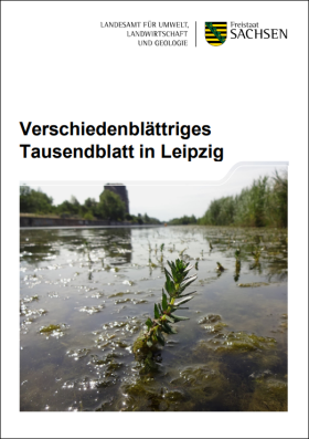 Verschiedenblaettriges Tausendblatt in Leipzig