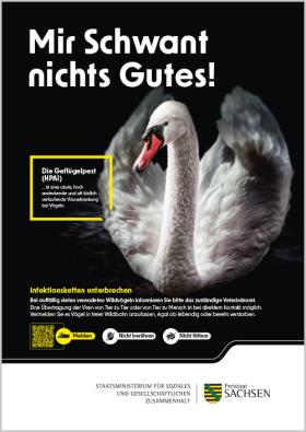 Vorschaubild zum Artikel Plakat Geflügelpest Schwan