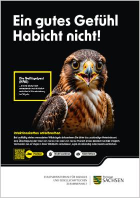 Plakat Geflügelpest Habicht