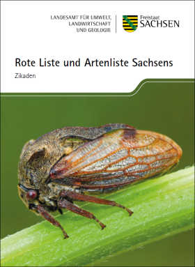 Rote Liste und Artenliste Sachsens - Zikaden