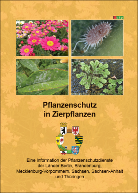 Pflanzenschutz in Zierpflanzen