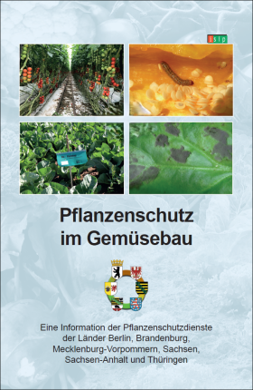 Pflanzenschutz im Gemüsebau