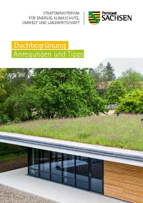 Dachbegrünung