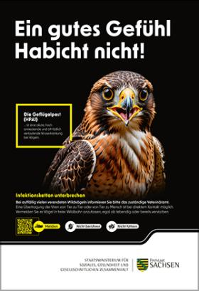 Plakat Geflügelpest Habicht