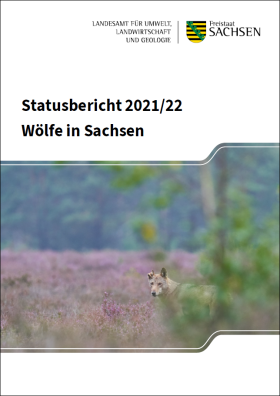 Wölfe in Sachsen – Statusbericht für das Jahr 2021/22