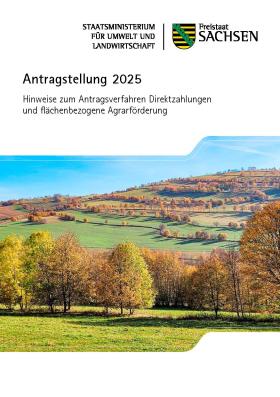 Antragstellung 2025