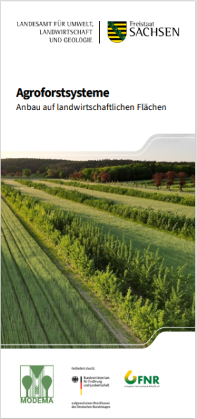 Agroforstsysteme